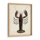 Langosta Vintage - DeKay | Cuadro decorativo de Canvas Lab
