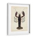 Langosta Vintage - DeKay | Cuadro decorativo de Canvas Lab