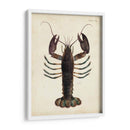 Langosta Vintage - DeKay | Cuadro decorativo de Canvas Lab