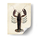 Langosta Vintage - DeKay | Cuadro decorativo de Canvas Lab