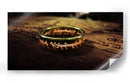 El anillo | Cuadro decorativo de Canvas Lab