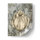 Tulipán Y Flores Silvestres I - Jennifer Goldberger | Cuadro decorativo de Canvas Lab