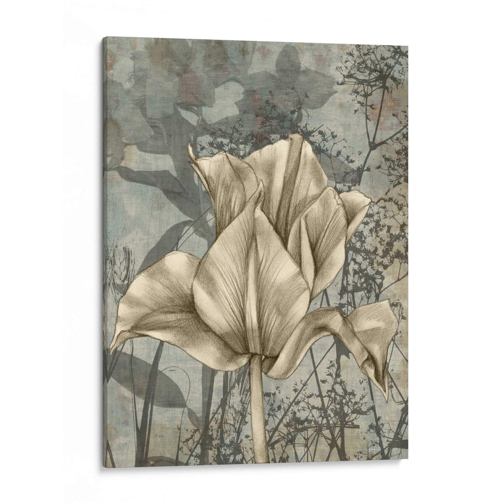 Tulipán Y Flores Silvestres Iv - Jennifer Goldberger | Cuadro decorativo de Canvas Lab