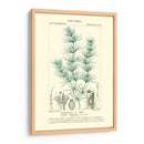 Turpin Botany I - Turpin | Cuadro decorativo de Canvas Lab
