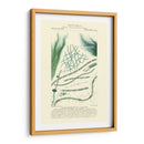 Turpin Botany Iii - Turpin | Cuadro decorativo de Canvas Lab