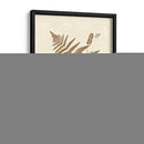 Sepia Helechos I - Vision Studio | Cuadro decorativo de Canvas Lab