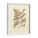 Sepia Helechos I - Vision Studio | Cuadro decorativo de Canvas Lab
