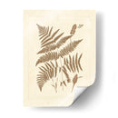 Sepia Helechos I - Vision Studio | Cuadro decorativo de Canvas Lab