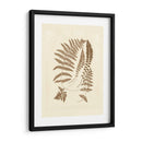 Sepia Ferns Ii - Vision Studio | Cuadro decorativo de Canvas Lab