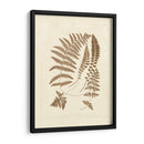 Sepia Ferns Ii - Vision Studio | Cuadro decorativo de Canvas Lab
