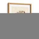 Sepia Ferns Ii - Vision Studio | Cuadro decorativo de Canvas Lab