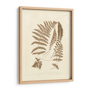 Sepia Ferns Ii - Vision Studio | Cuadro decorativo de Canvas Lab