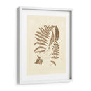 Sepia Ferns Ii - Vision Studio | Cuadro decorativo de Canvas Lab