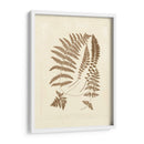 Sepia Ferns Ii - Vision Studio | Cuadro decorativo de Canvas Lab