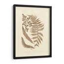 Sepia Ferns Iii - Vision Studio | Cuadro decorativo de Canvas Lab