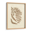 Sepia Ferns Iii - Vision Studio | Cuadro decorativo de Canvas Lab
