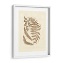 Sepia Ferns Iii - Vision Studio | Cuadro decorativo de Canvas Lab