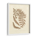 Sepia Ferns Iii - Vision Studio | Cuadro decorativo de Canvas Lab