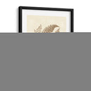 Sepia Ferns Iv - Vision Studio | Cuadro decorativo de Canvas Lab
