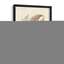 Sepia Ferns Iv - Vision Studio | Cuadro decorativo de Canvas Lab