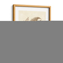 Sepia Ferns Iv - Vision Studio | Cuadro decorativo de Canvas Lab