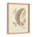 Sepia Ferns Iv - Vision Studio | Cuadro decorativo de Canvas Lab