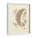 Sepia Ferns Iv - Vision Studio | Cuadro decorativo de Canvas Lab