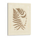 Sepia Helechos V - Vision Studio | Cuadro decorativo de Canvas Lab