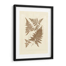 Sepia Ferns Vi - Vision Studio | Cuadro decorativo de Canvas Lab