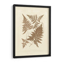 Sepia Ferns Vi - Vision Studio | Cuadro decorativo de Canvas Lab