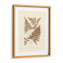 Sepia Ferns Vi - Vision Studio | Cuadro decorativo de Canvas Lab