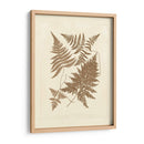 Sepia Ferns Vi - Vision Studio | Cuadro decorativo de Canvas Lab