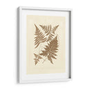 Sepia Ferns Vi - Vision Studio | Cuadro decorativo de Canvas Lab