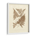 Sepia Ferns Vi - Vision Studio | Cuadro decorativo de Canvas Lab