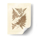 Sepia Ferns Vi - Vision Studio | Cuadro decorativo de Canvas Lab