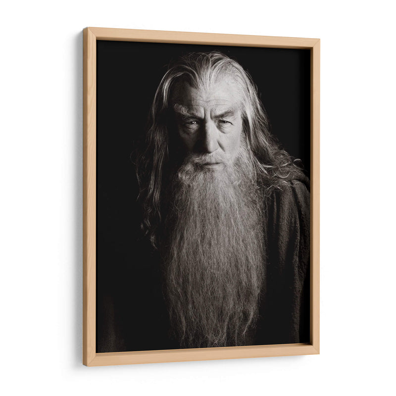 El sabio Gandalf | Cuadro decorativo de Canvas Lab