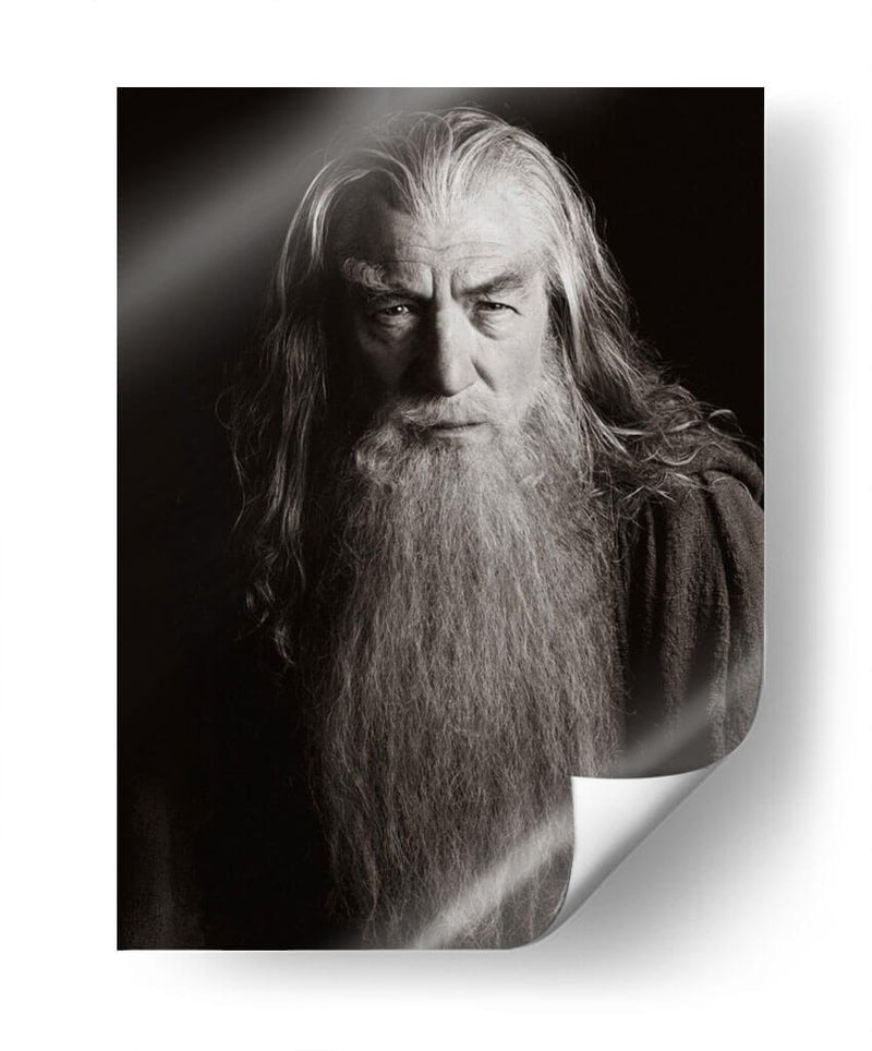 El sabio Gandalf | Cuadro decorativo de Canvas Lab