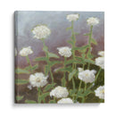 Estudio De Jardín Botánico Ii - Megan Meagher | Cuadro decorativo de Canvas Lab