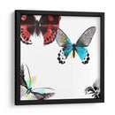Mariposas Bailar I - A. Project | Cuadro decorativo de Canvas Lab