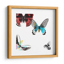 Mariposas Bailar I - A. Project | Cuadro decorativo de Canvas Lab