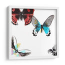 Mariposas Bailar I - A. Project | Cuadro decorativo de Canvas Lab