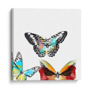 Butterflies Dance Ii - A. Project | Cuadro decorativo de Canvas Lab