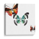 Butterflies Dance Iii - A. Project | Cuadro decorativo de Canvas Lab