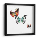 Butterflies Dance Iii - A. Project | Cuadro decorativo de Canvas Lab