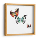 Butterflies Dance Iii - A. Project | Cuadro decorativo de Canvas Lab