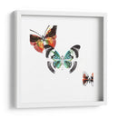 Butterflies Dance Iii - A. Project | Cuadro decorativo de Canvas Lab