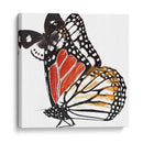 Butterflies Dance Iv - A. Project | Cuadro decorativo de Canvas Lab