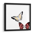 Mariposas Bailar V - A. Project | Cuadro decorativo de Canvas Lab