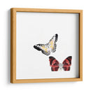 Mariposas Bailar V - A. Project | Cuadro decorativo de Canvas Lab