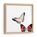 Mariposas Bailar V - A. Project | Cuadro decorativo de Canvas Lab